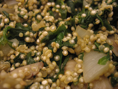 propiedades nutricionales de la quinoa. nutrientes quinoa