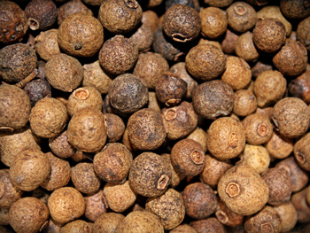especias y tipos de pimienta, pimienta de Jamaica