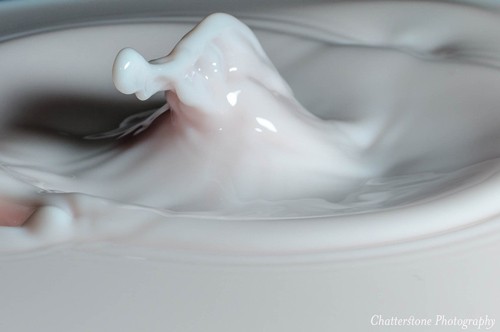 Calidad de la leche de distintas marcas (2011)